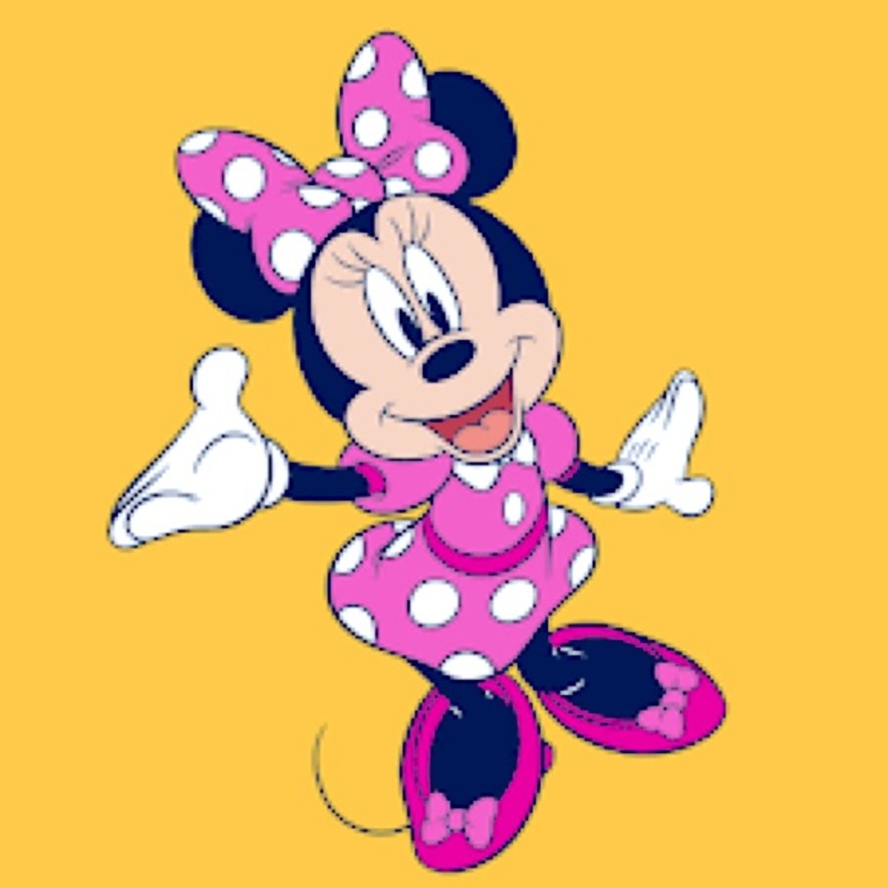 MINNIE MOUSE BUNDLE